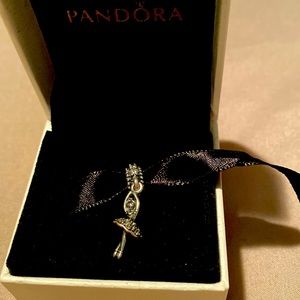 Pandora charm